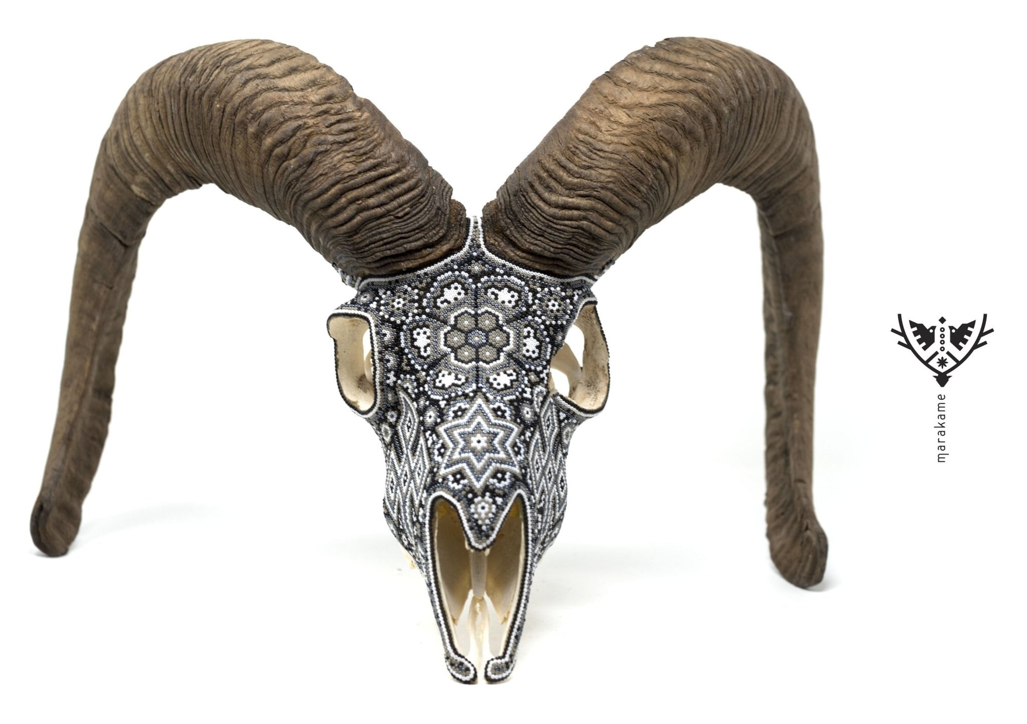 Cráneo de Mouflon Huichol -"Ratinamieni I" - Arte Huichol - Marakame