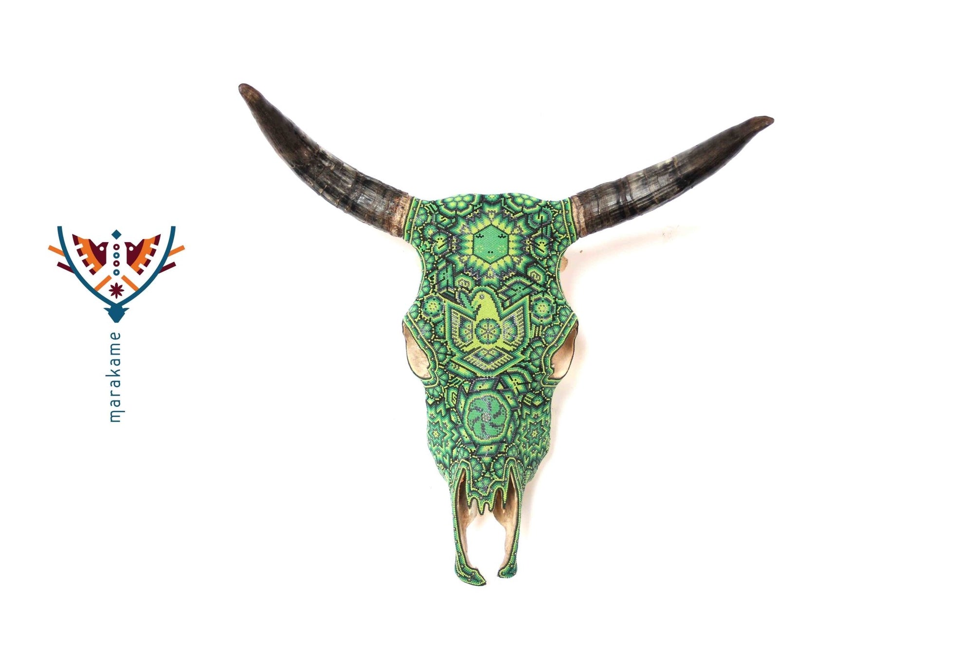 Cráneo Huichol - Neakaxa IV - Arte Huichol - Marakame