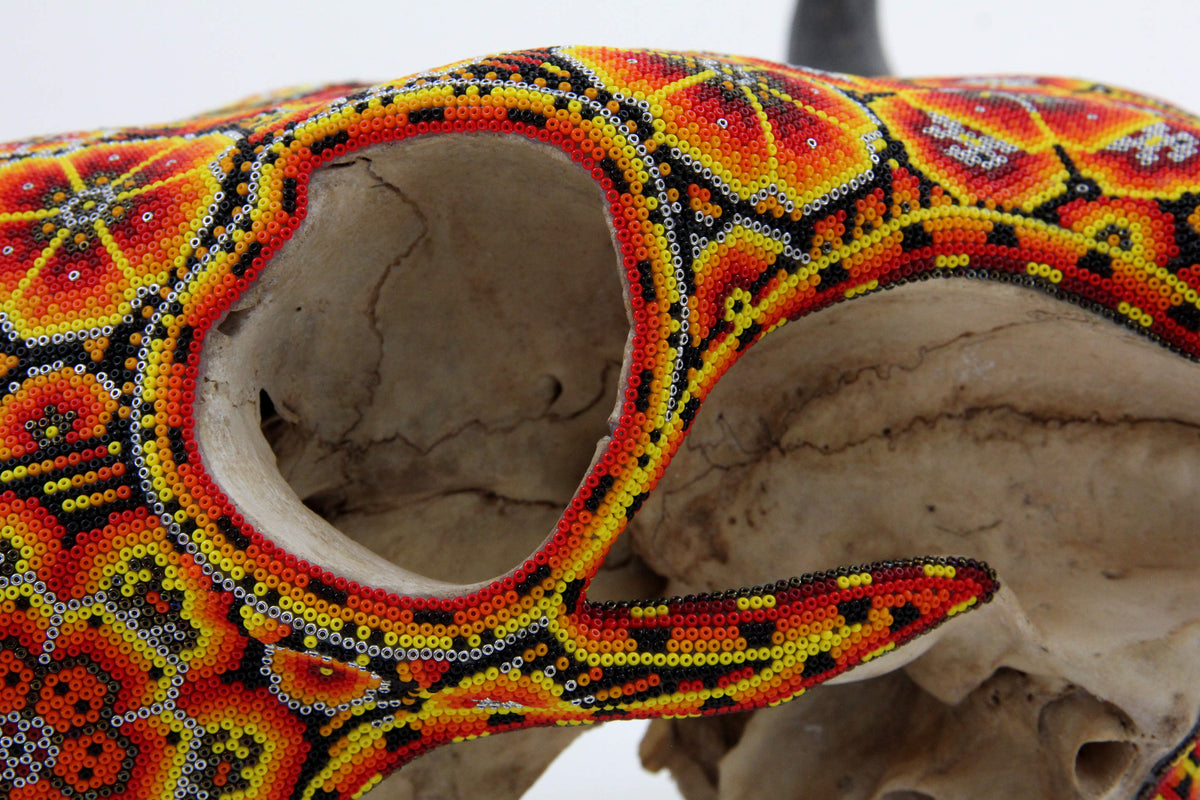 Cráneo de vaca Arte Huichol - Tatewari