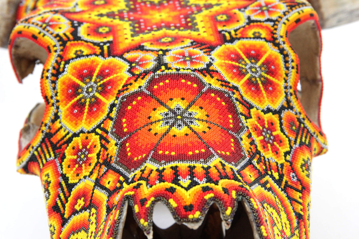 Cráneo de vaca Arte Huichol - Tatewari