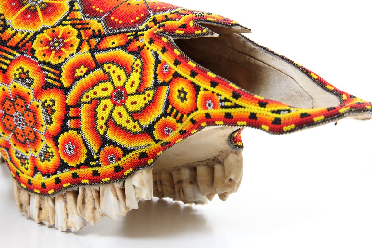Cráneo de vaca Arte Huichol - Tatewari