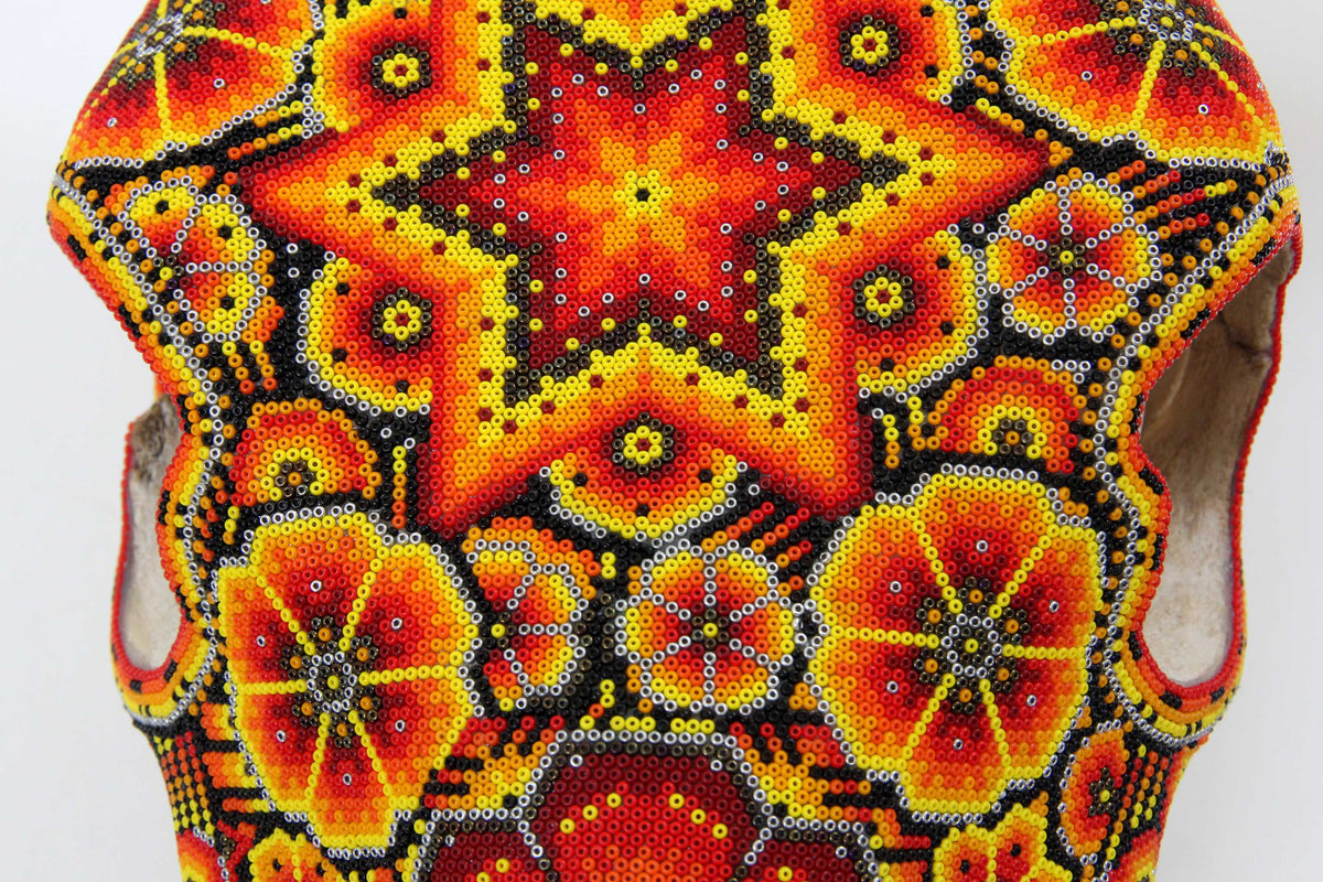 Cráneo de vaca Arte Huichol - Tatewari