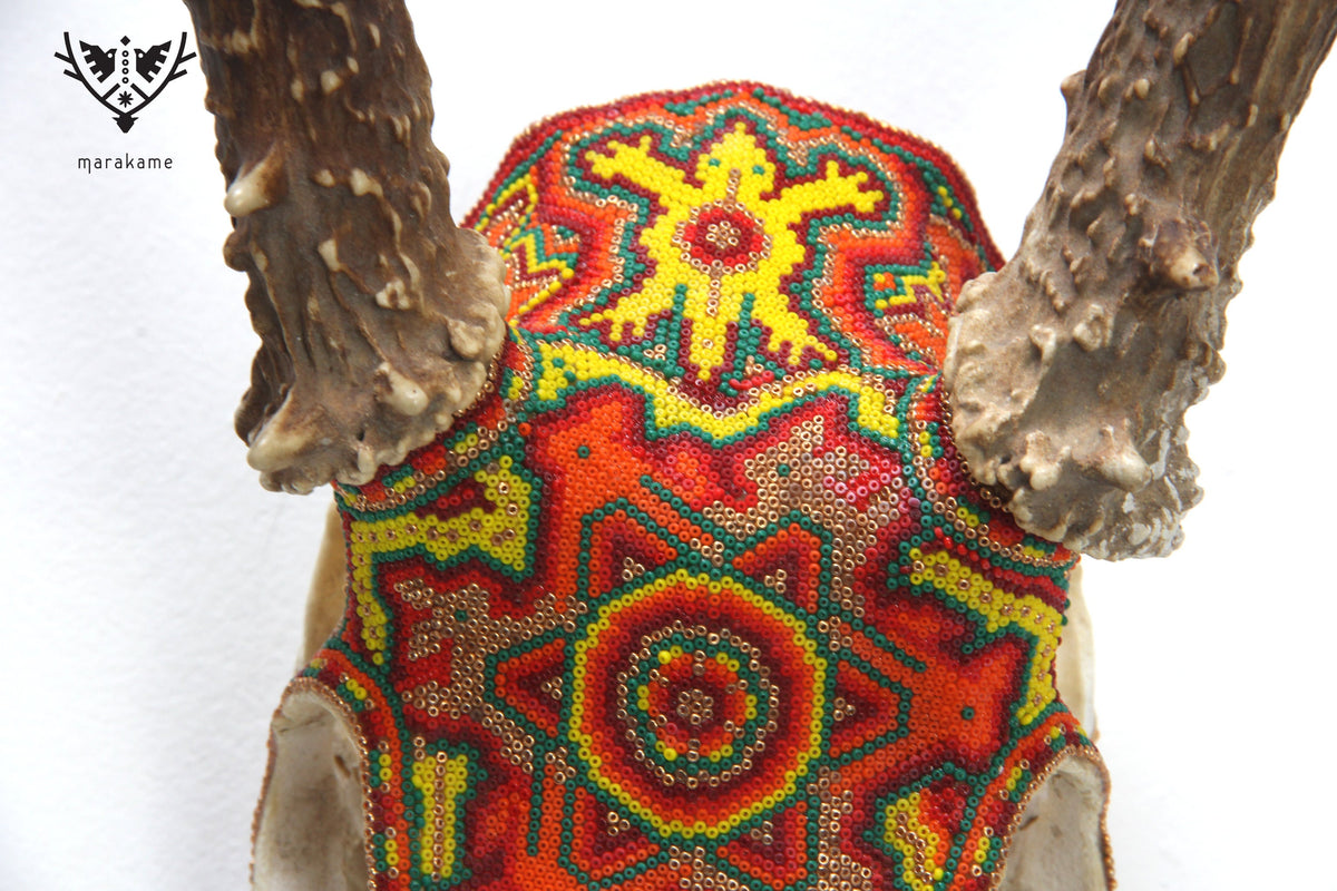 Cráneo de Venado Huichol - Xamainuri I