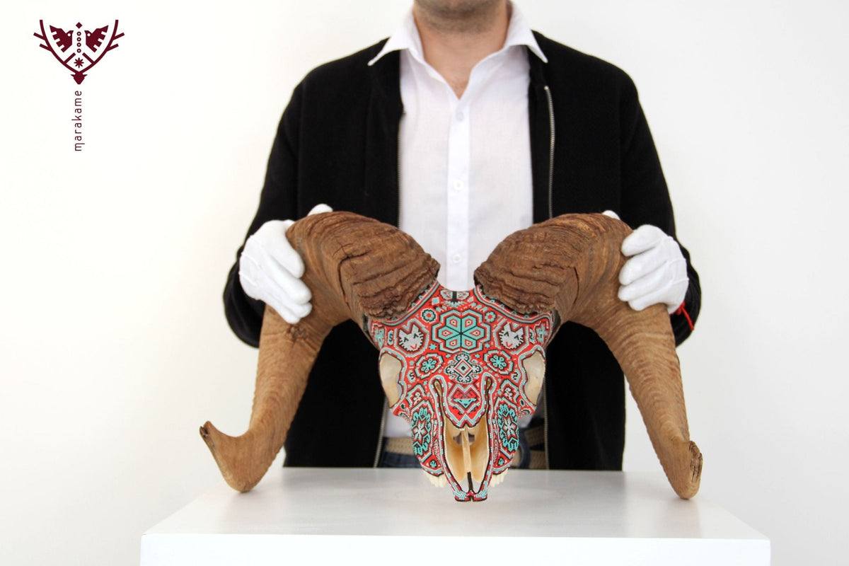 Cráneo auténtico de borrego Cimarrón - Tatewari - Arte Huichol - Marakame