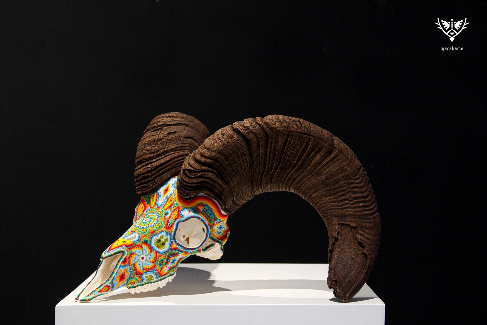 Cráneo auténtico de borrego cimarrón - Yurienaka - Arte Huichol - Marakame