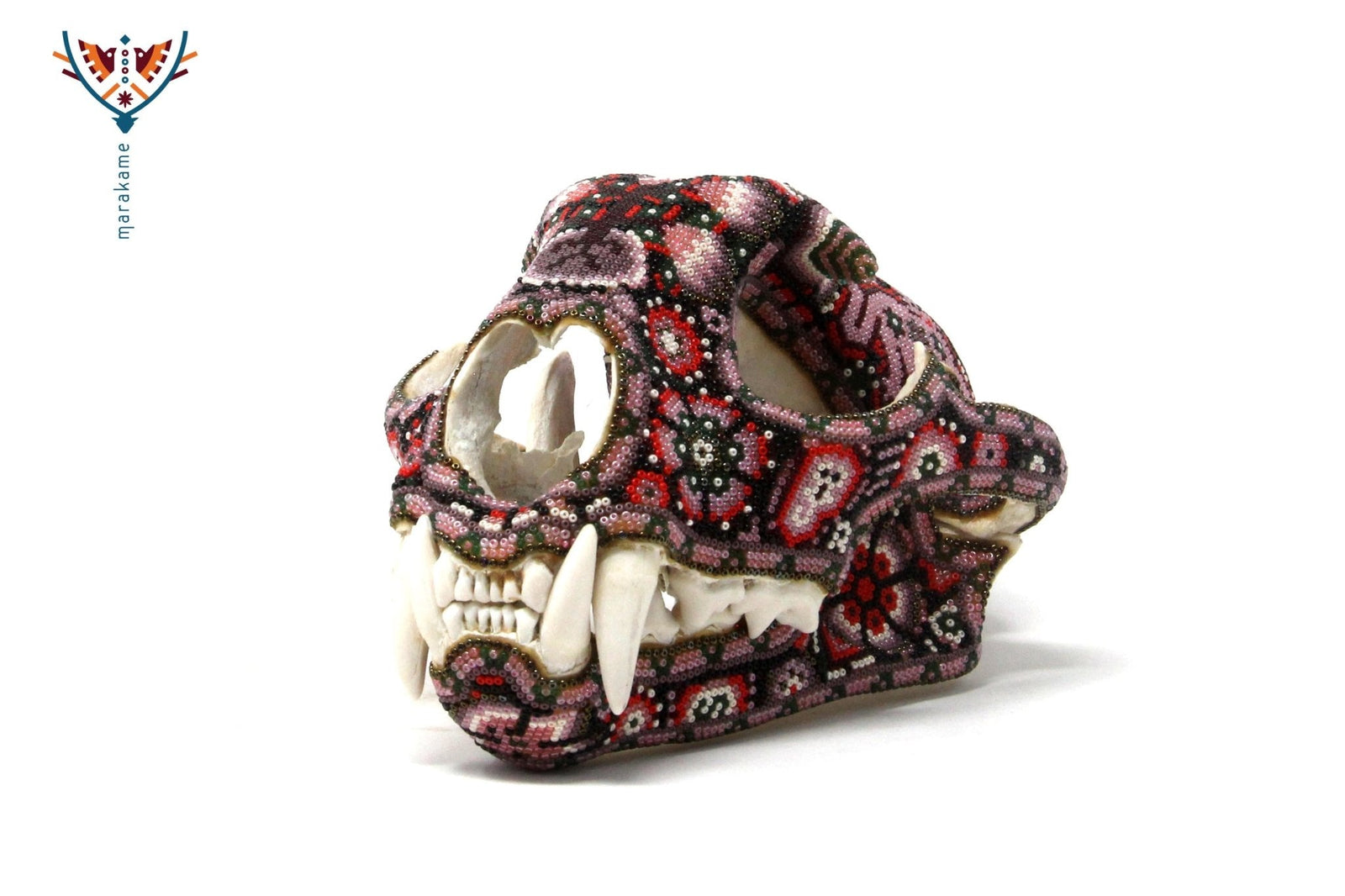 Cráneo auténtico de puma - Takutsi - Arte Huichol - Marakame