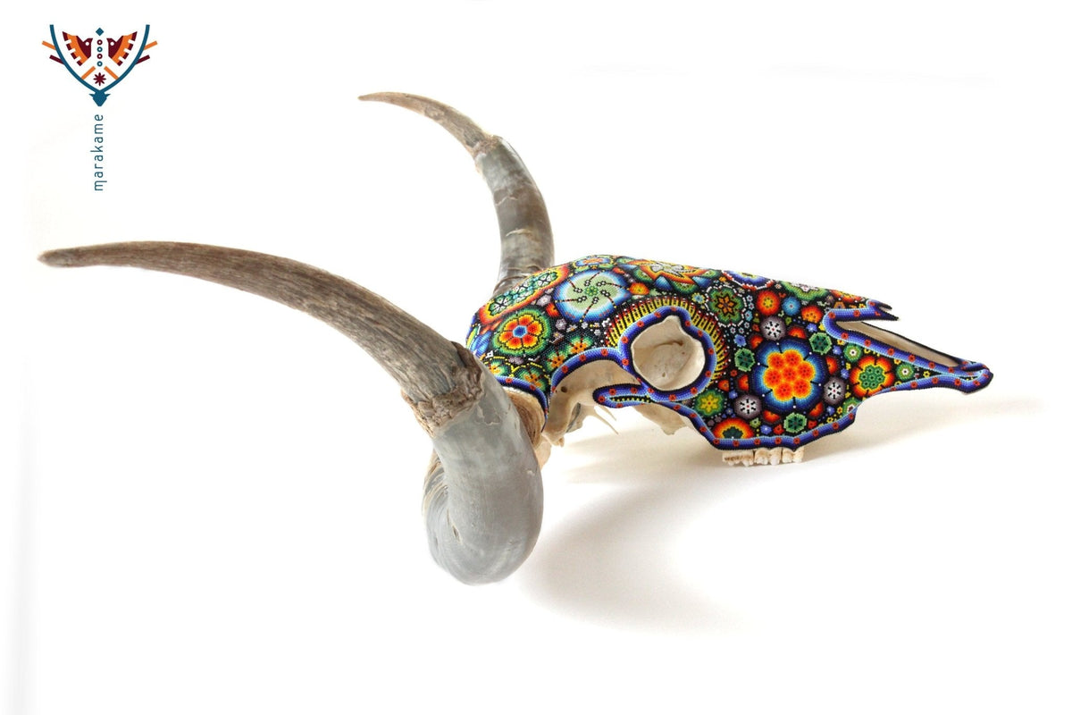 Cráneo de Longhorn Arte Huichol - Hikuri I - Arte Huichol - Marakame