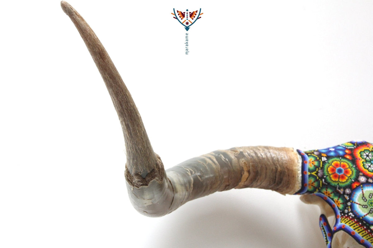 Cráneo de Longhorn Arte Huichol - Hikuri I - Arte Huichol - Marakame