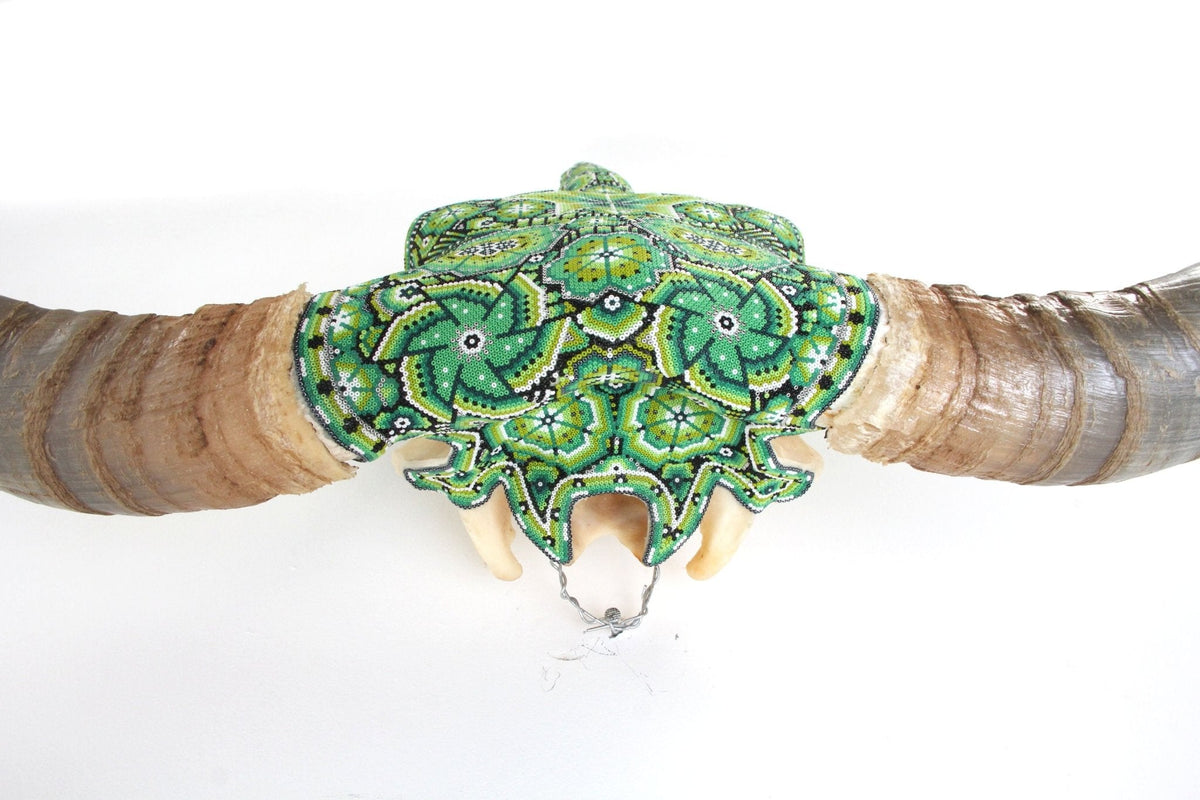 Cráneo de Longhorn Arte Huichol - Hikuri V - Arte Huichol - Marakame