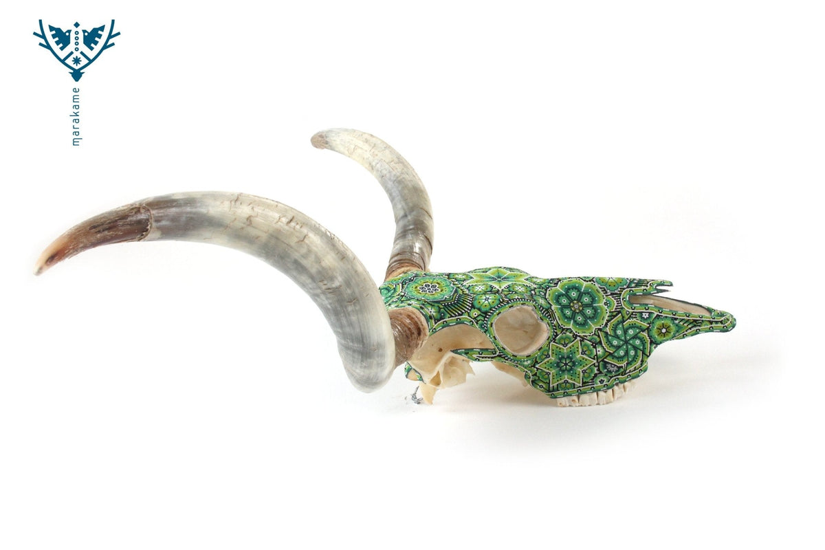 Cráneo de Longhorn Arte Huichol - Hikuri V - Arte Huichol - Marakame