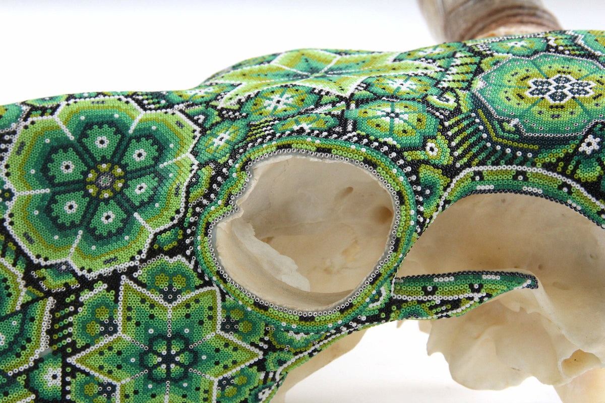 Cráneo de Longhorn Arte Huichol - Hikuri V - Arte Huichol - Marakame
