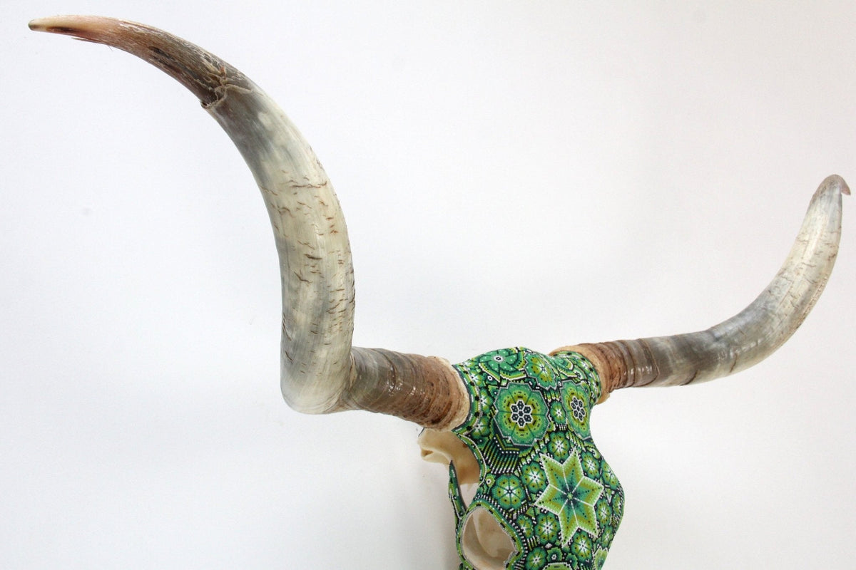 Cráneo de Longhorn Arte Huichol - Hikuri V - Arte Huichol - Marakame