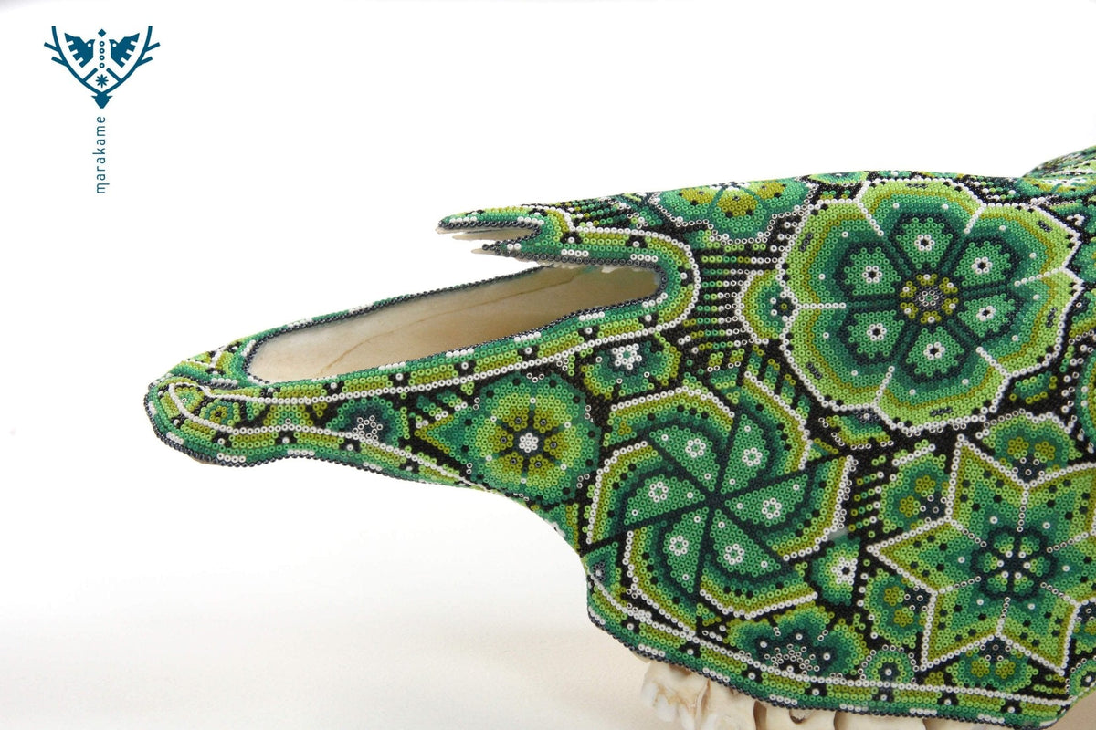 Cráneo de Longhorn Arte Huichol - Hikuri V - Arte Huichol - Marakame