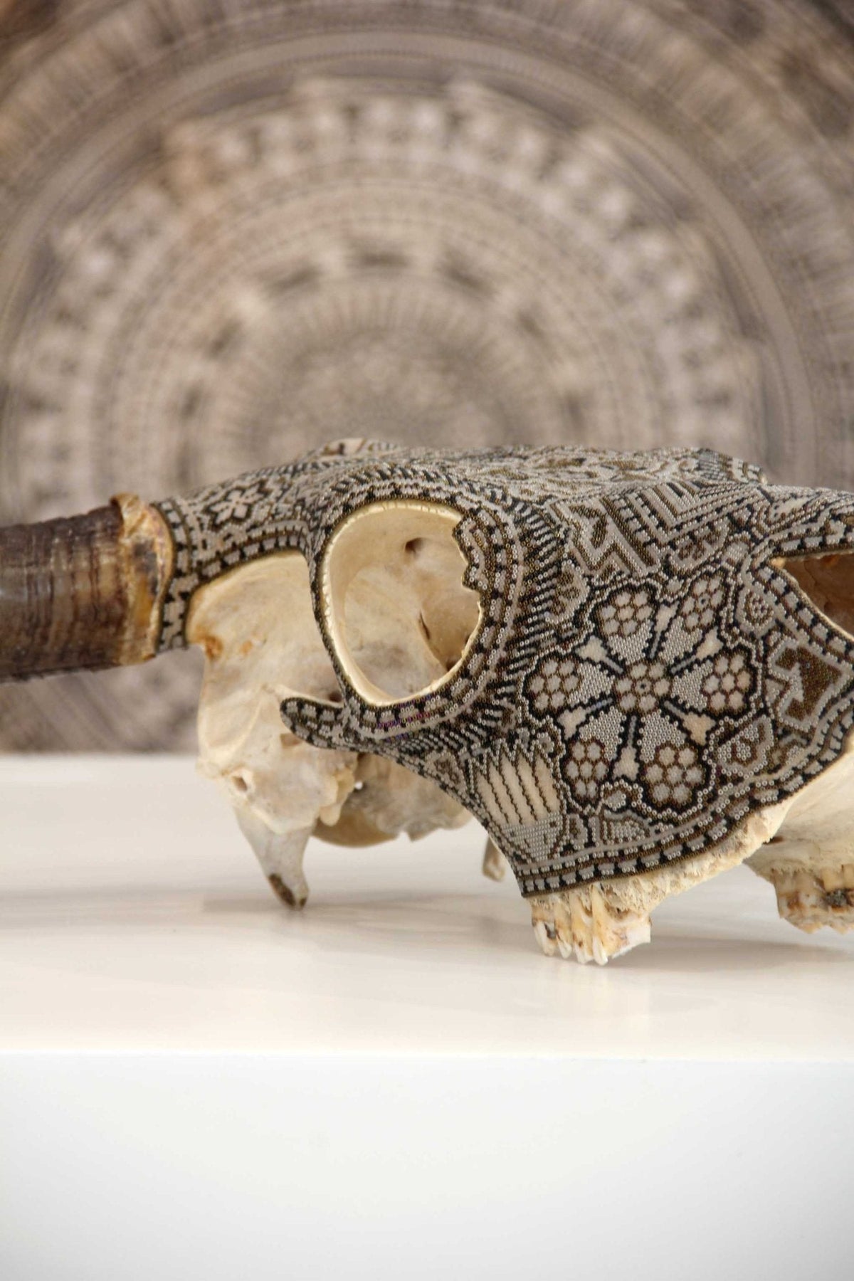 Cráneo de vaca Arte Huichol - Gran Wexikia - Arte Huichol - Marakame