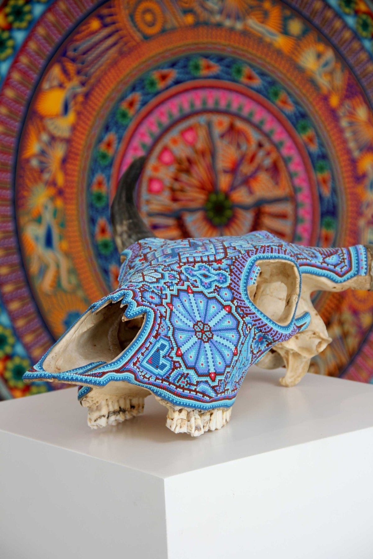Cráneo de vaca Arte Huichol - Haramara - Arte Huichol - Marakame