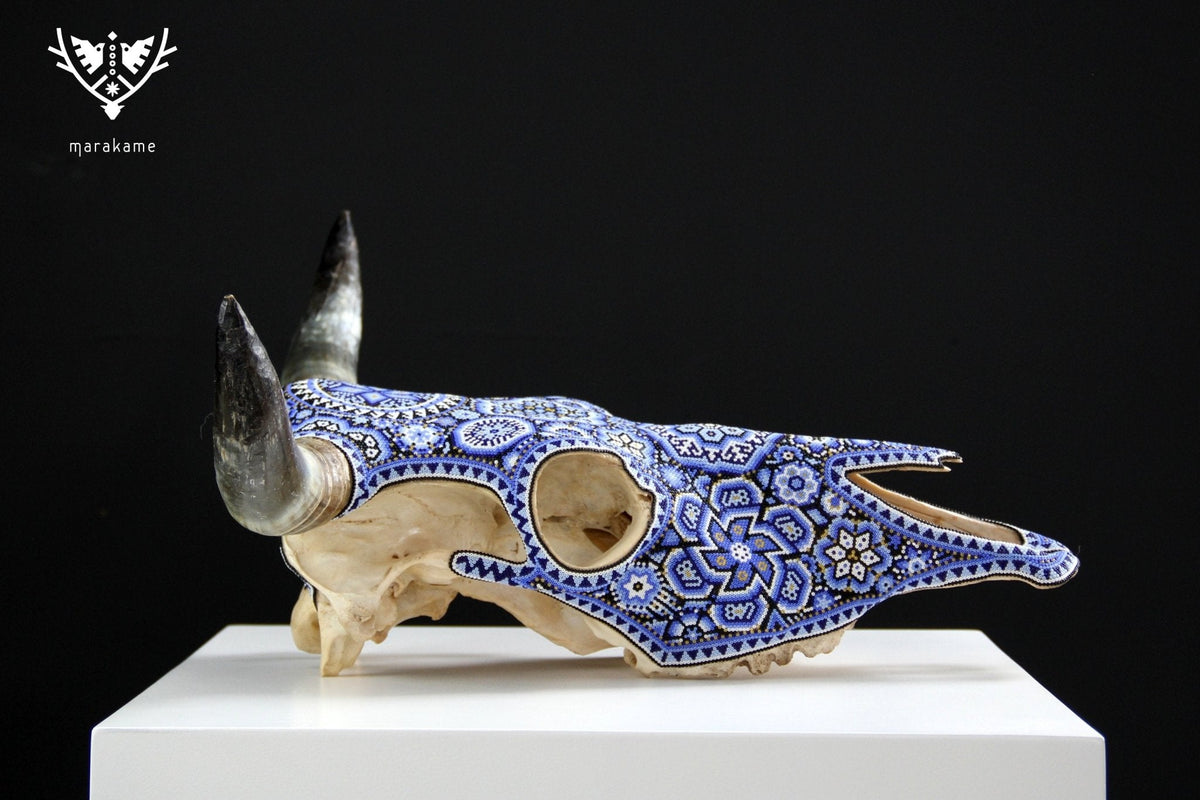 Cráneo de vaca Arte Huichol - Haramara - Arte Huichol - Marakame