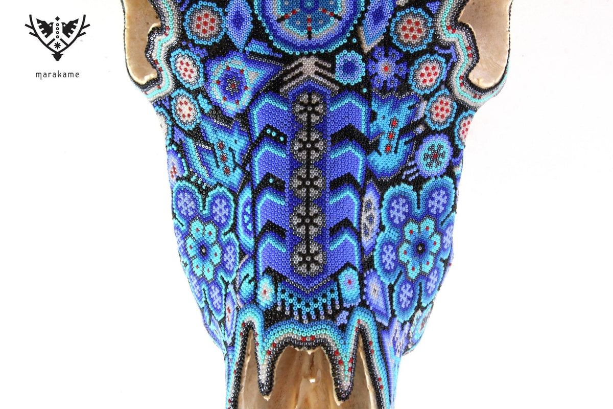 Cráneo de vaca Arte Huichol - Hayuawima - Arte Huichol - Marakame