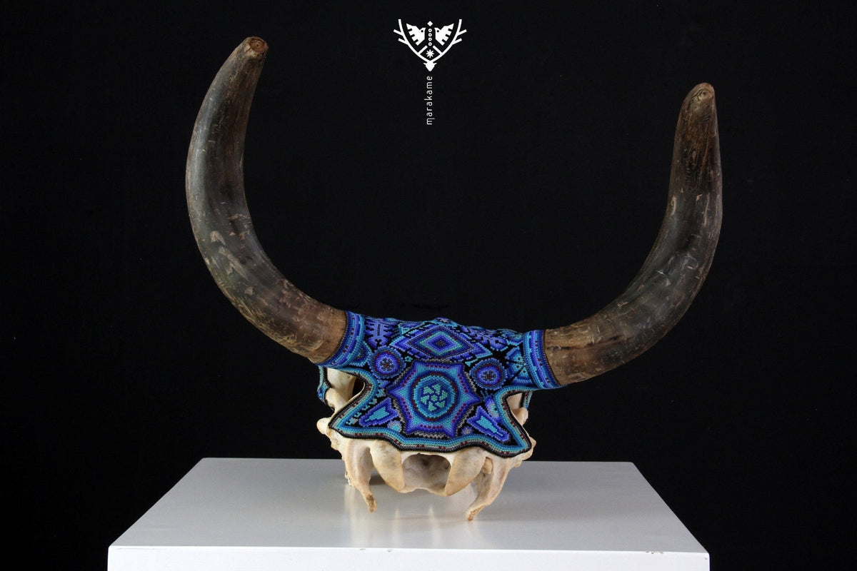 Cráneo de vaca Arte Huichol - Hayuawima - Arte Huichol - Marakame
