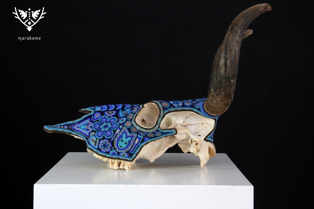 Cráneo de vaca Arte Huichol - Hayuawima - Arte Huichol - Marakame