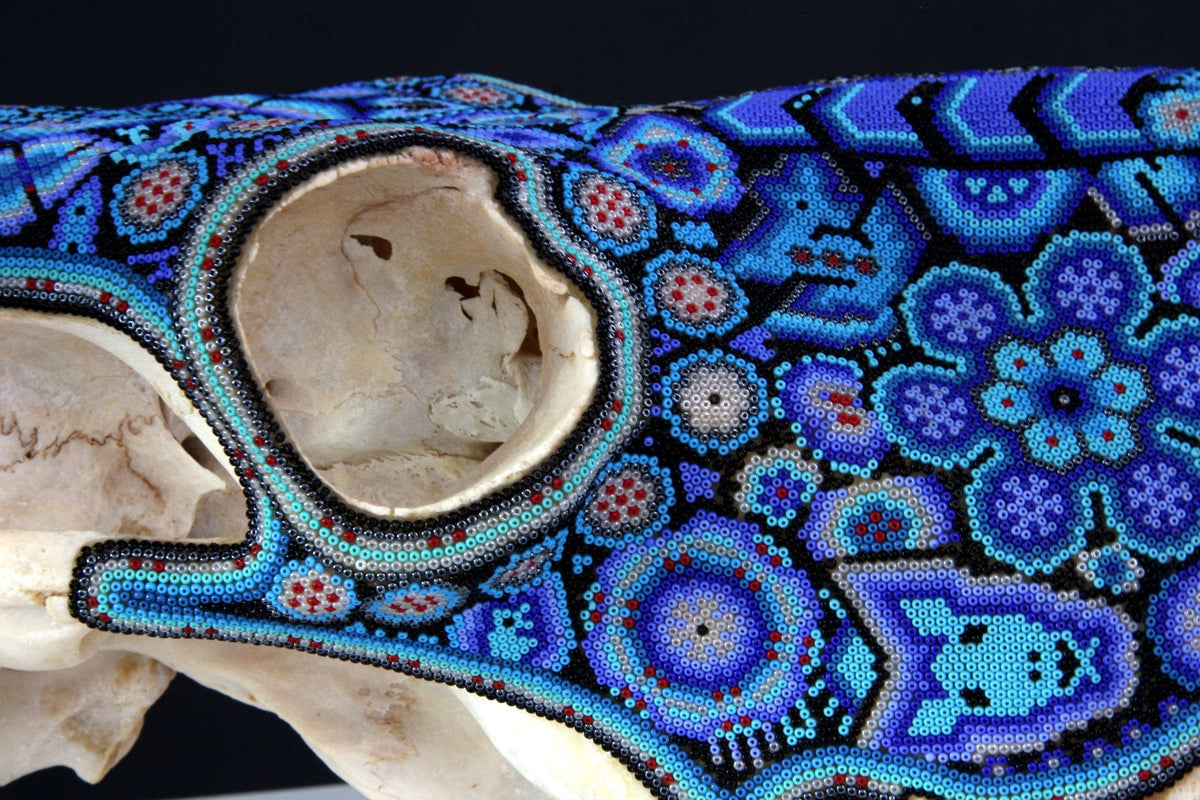 Cráneo de vaca Arte Huichol - Hayuawima - Arte Huichol - Marakame