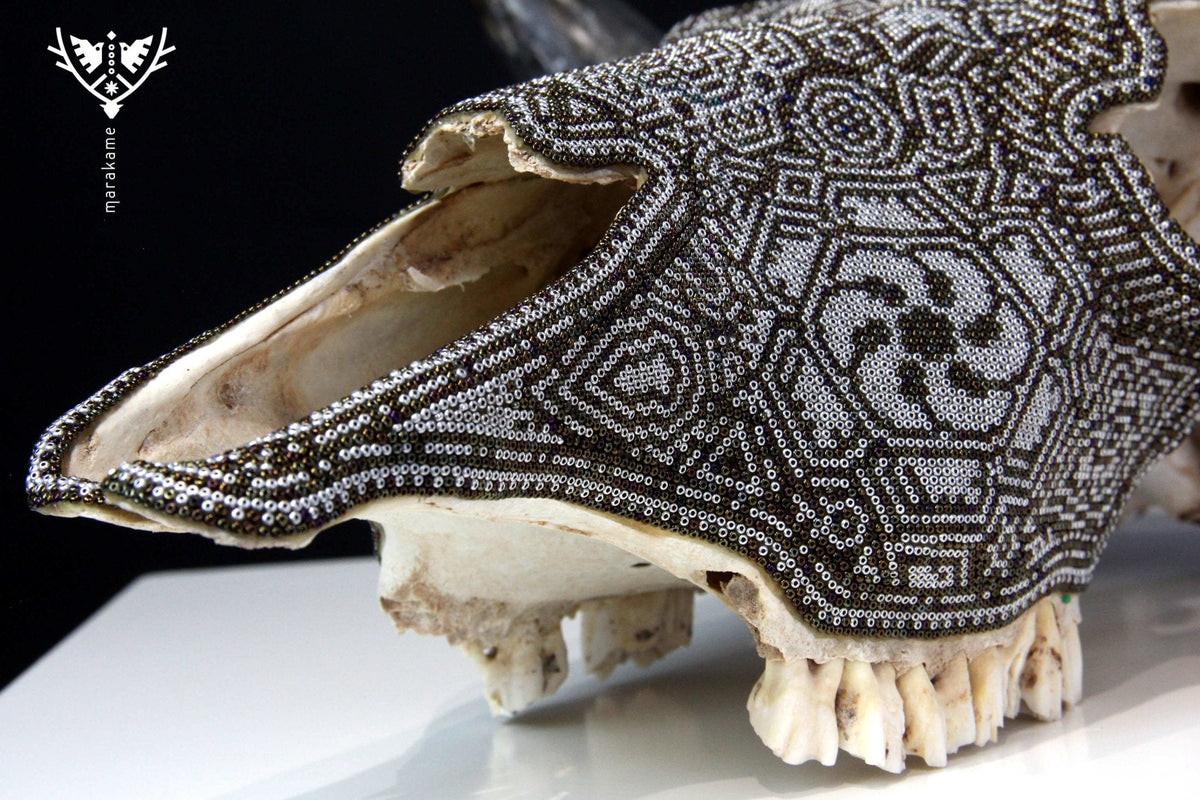 Craneo de vaca Arte Huichol - Hikuri I - Arte Huichol - Marakame