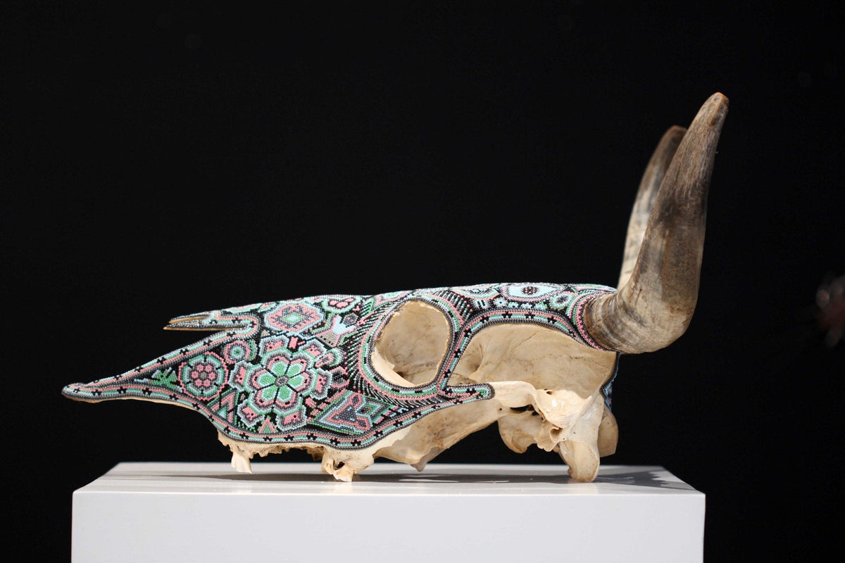 Cráneo de vaca Arte Huichol - Hikuri III - Arte Huichol - Marakame