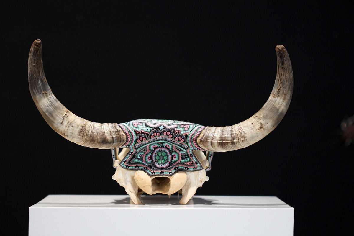 Cráneo de vaca Arte Huichol - Hikuri III - Arte Huichol - Marakame