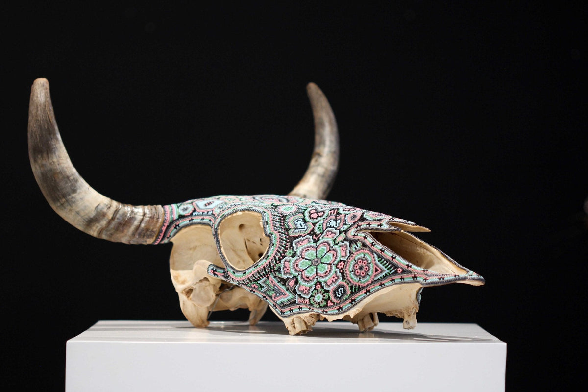 Cráneo de vaca Arte Huichol - Hikuri III - Arte Huichol - Marakame