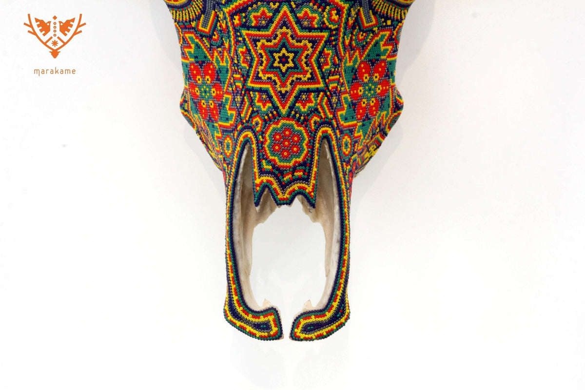 Cráneo de vaca Arte Huichol - hikuri neixa en tseriekame - Arte Huichol - Marakame