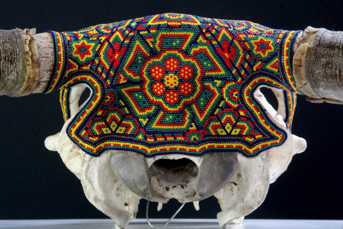 Cráneo de vaca Arte Huichol - hikuri neixa en tseriekame - Arte Huichol - Marakame