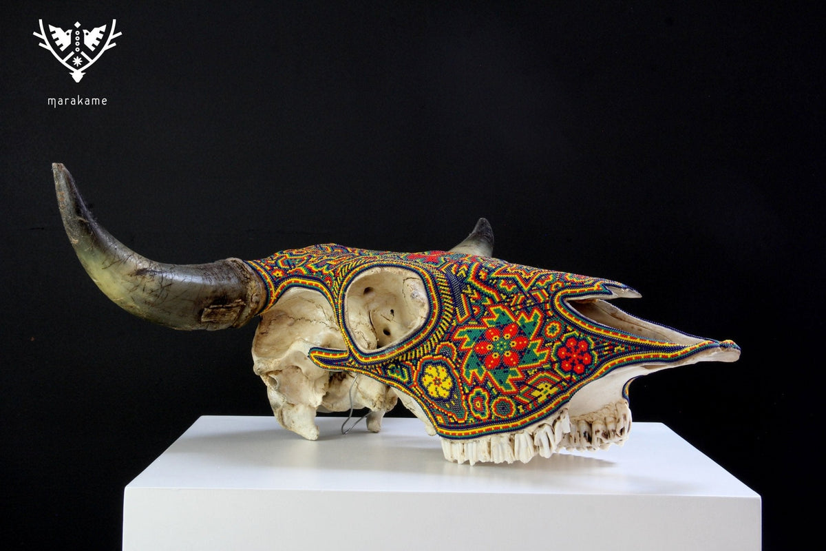 Cráneo de vaca Arte Huichol - hikuri neixa en tseriekame - Arte Huichol - Marakame