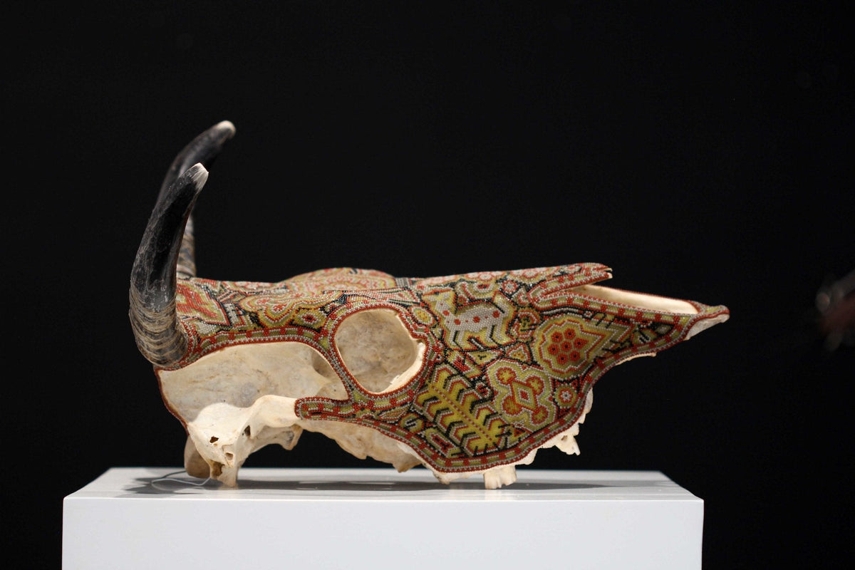 Cráneo de vaca Arte Huichol - Hikuri VIII - Arte Huichol - Marakame