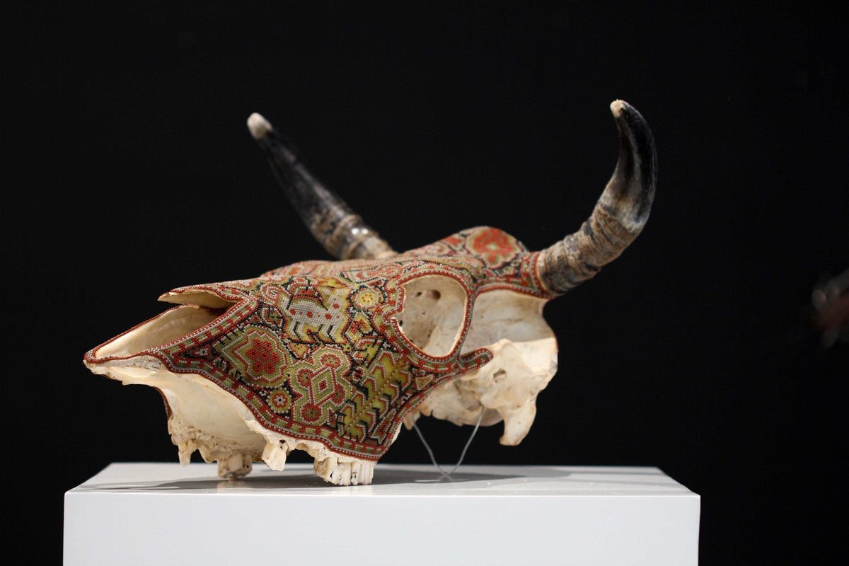 Cráneo de vaca Arte Huichol - Hikuri VIII - Arte Huichol - Marakame