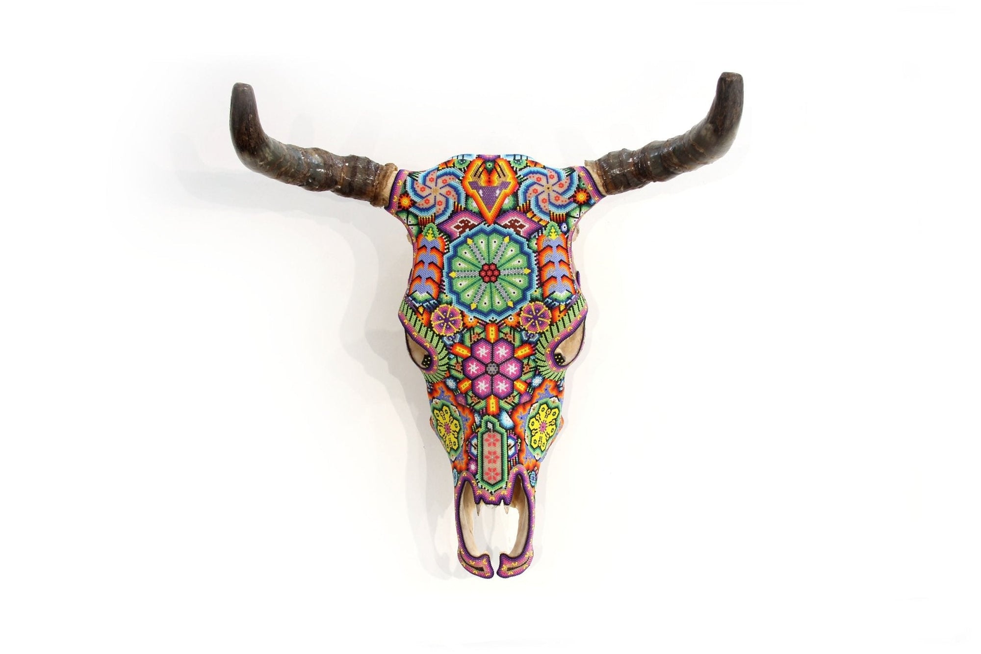 Cráneo de vaca Arte Huichol - Hikuritame - Arte Huichol - Marakame