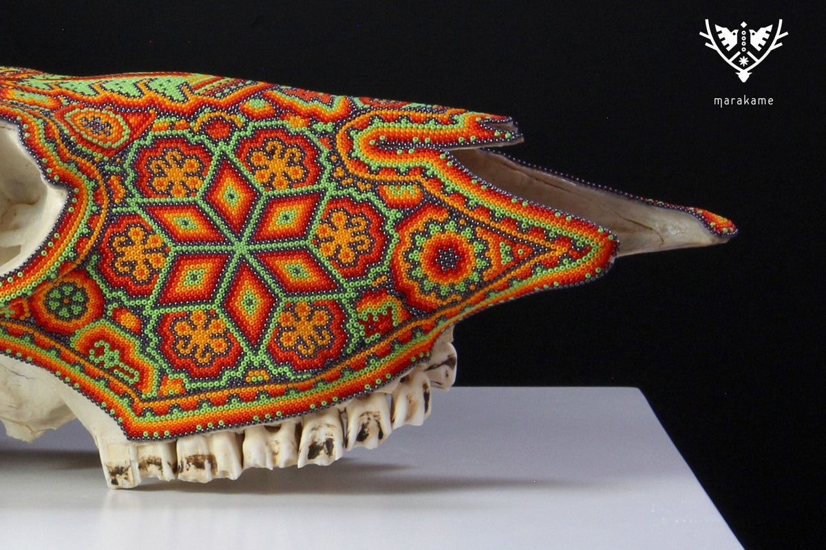 Cráneo de vaca Arte Huichol - Iku II - Arte Huichol - Marakame
