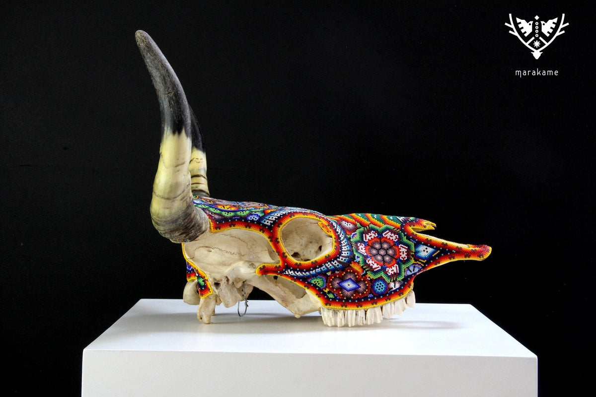 Cráneo de vaca Arte Huichol - ikú maxa - Arte Huichol - Marakame