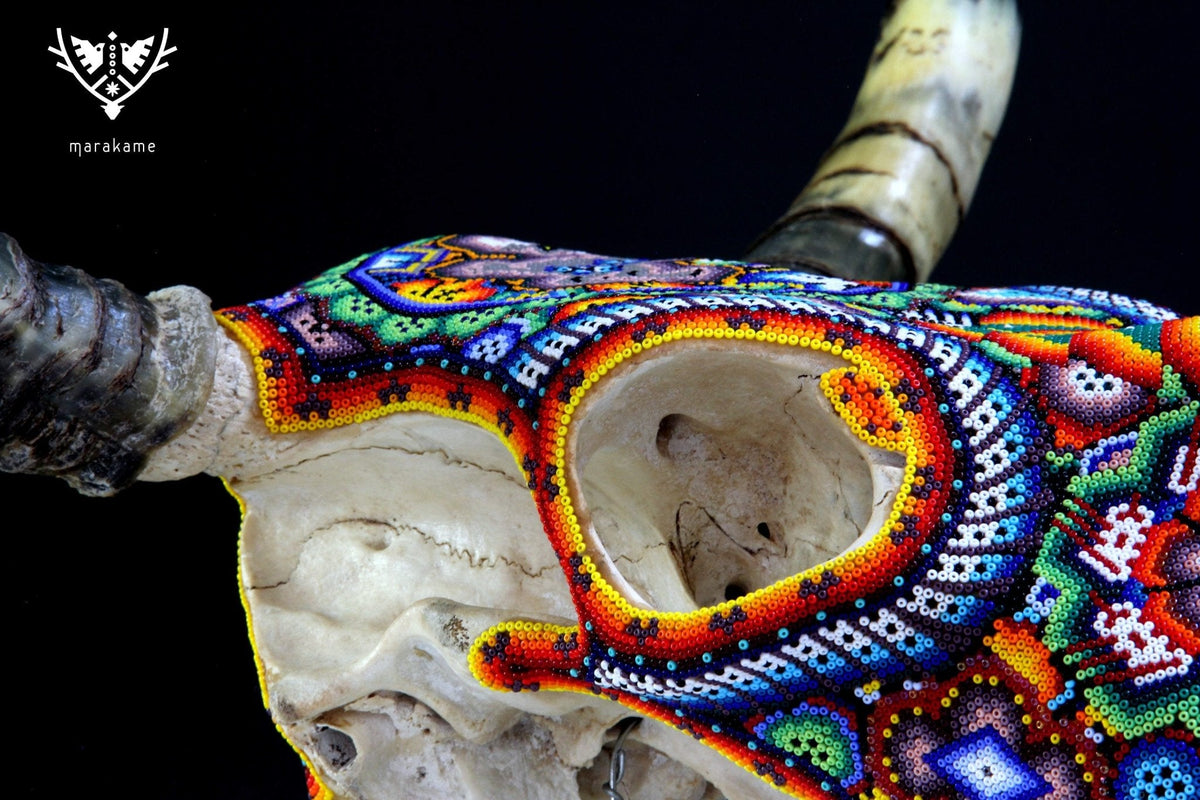 Cráneo de vaca Arte Huichol - ikú maxa - Arte Huichol - Marakame