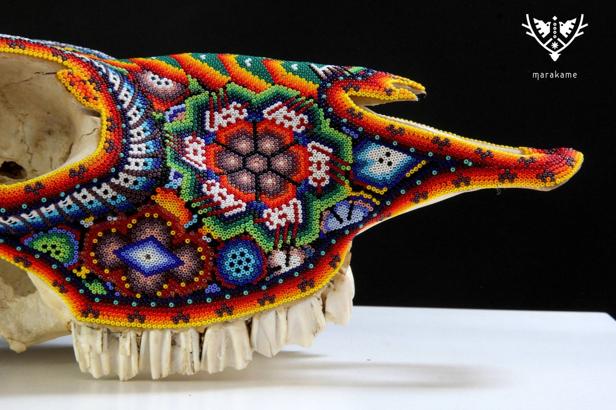 Cráneo de vaca Arte Huichol - ikú maxa - Arte Huichol - Marakame