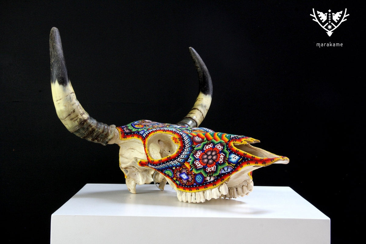 Cráneo de vaca Arte Huichol - ikú maxa - Arte Huichol - Marakame