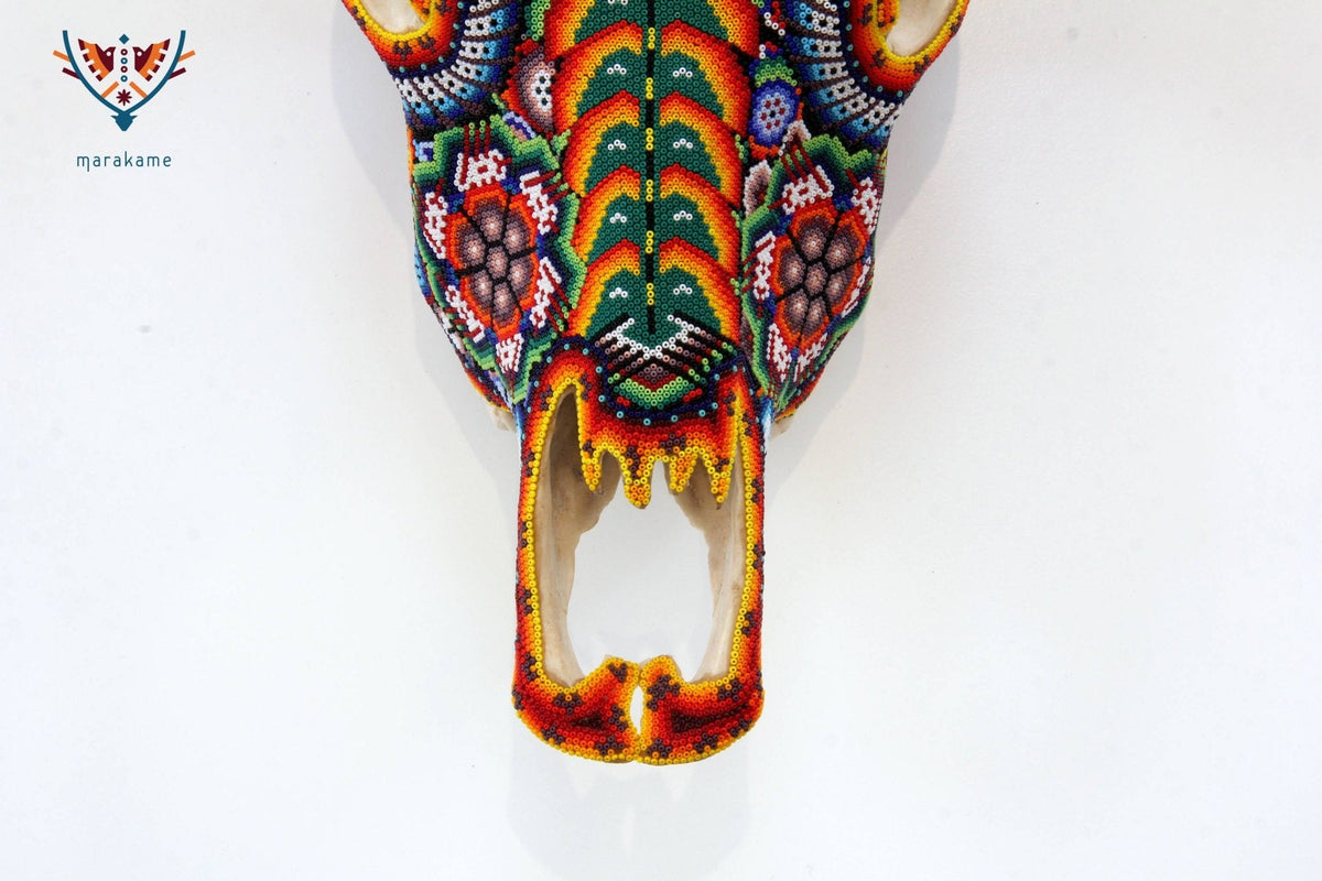 Cráneo de vaca Arte Huichol - ikú maxa - Arte Huichol - Marakame
