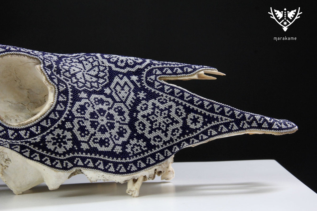 Cráneo de vaca Arte Huichol - Jícuri - Arte Huichol - Marakame