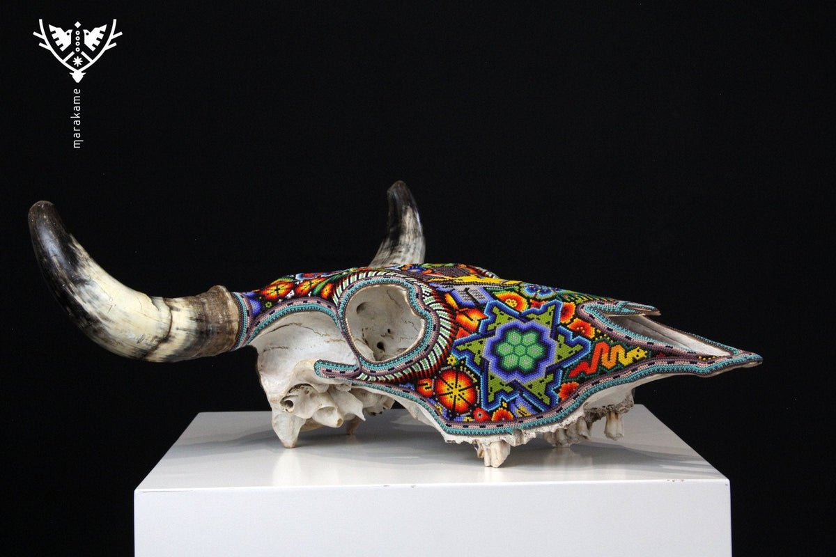 Craneo de vaca Arte Huichol - Kauyumari Katira - Arte Huichol - Marakame