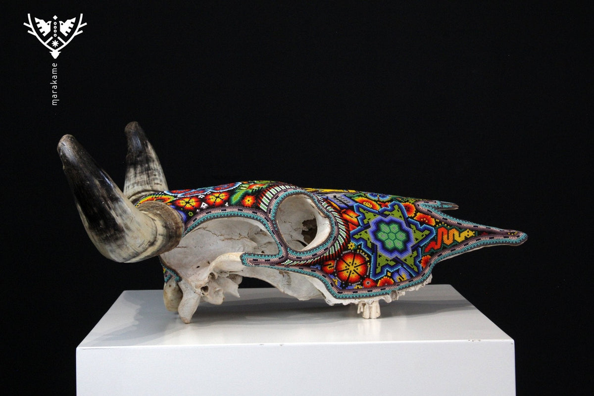 Craneo de vaca Arte Huichol - Kauyumari Katira - Arte Huichol - Marakame
