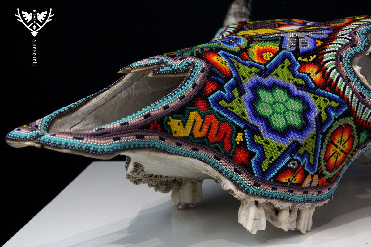 Craneo de vaca Arte Huichol - Kauyumari Katira - Arte Huichol - Marakame