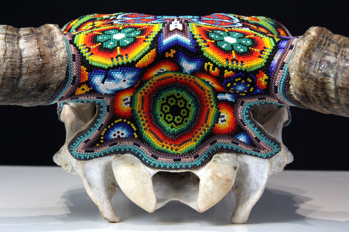 Craneo de vaca Arte Huichol - Kauyumari Katira - Arte Huichol - Marakame