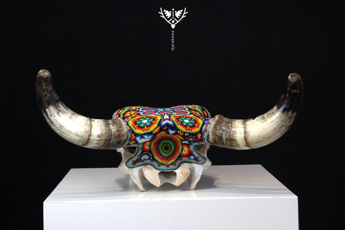 Craneo de vaca Arte Huichol - Kauyumari Katira - Arte Huichol - Marakame