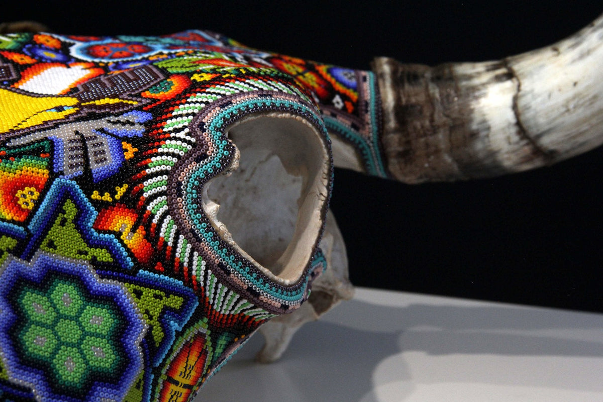Craneo de vaca Arte Huichol - Kauyumari Katira - Arte Huichol - Marakame
