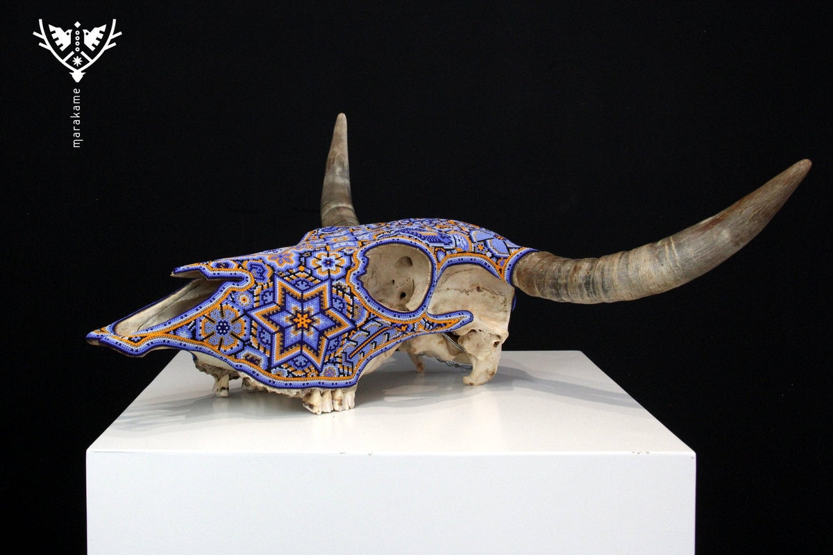 Craneo de vaca Arte Huichol - Kuruxikame - Arte Huichol - Marakame