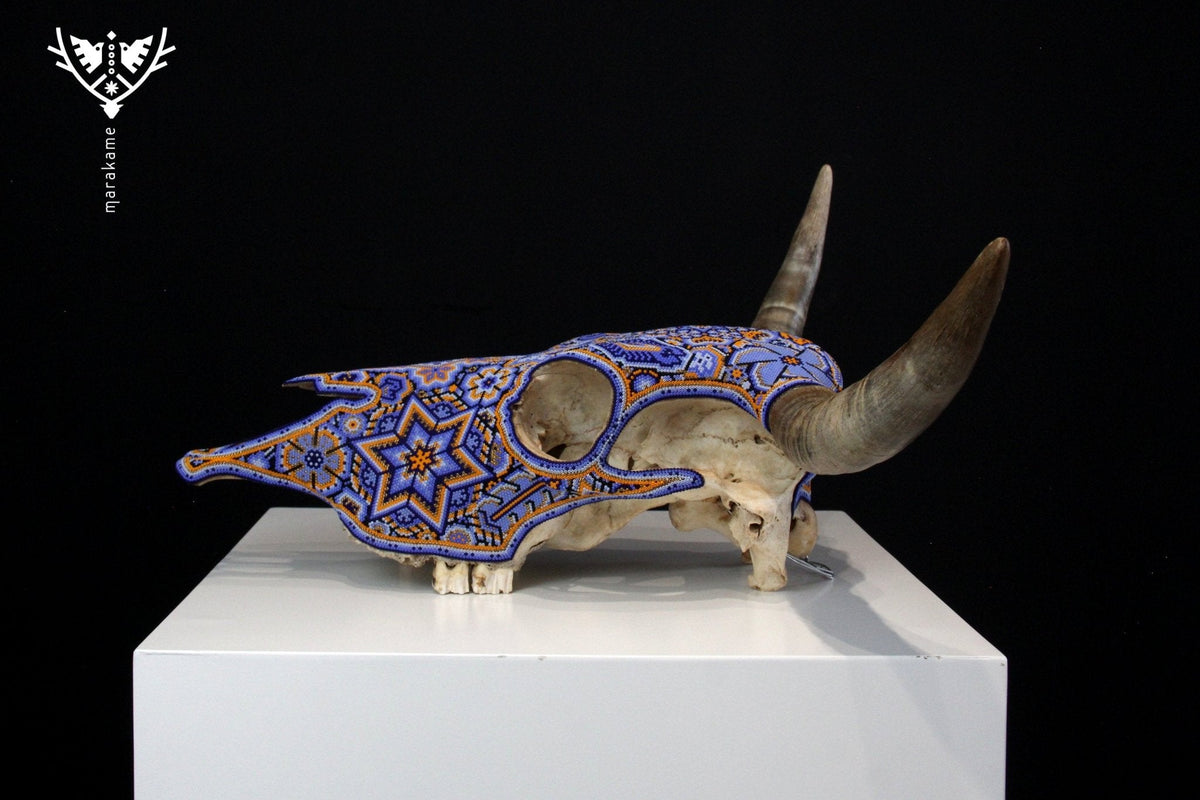 Craneo de vaca Arte Huichol - Kuruxikame - Arte Huichol - Marakame