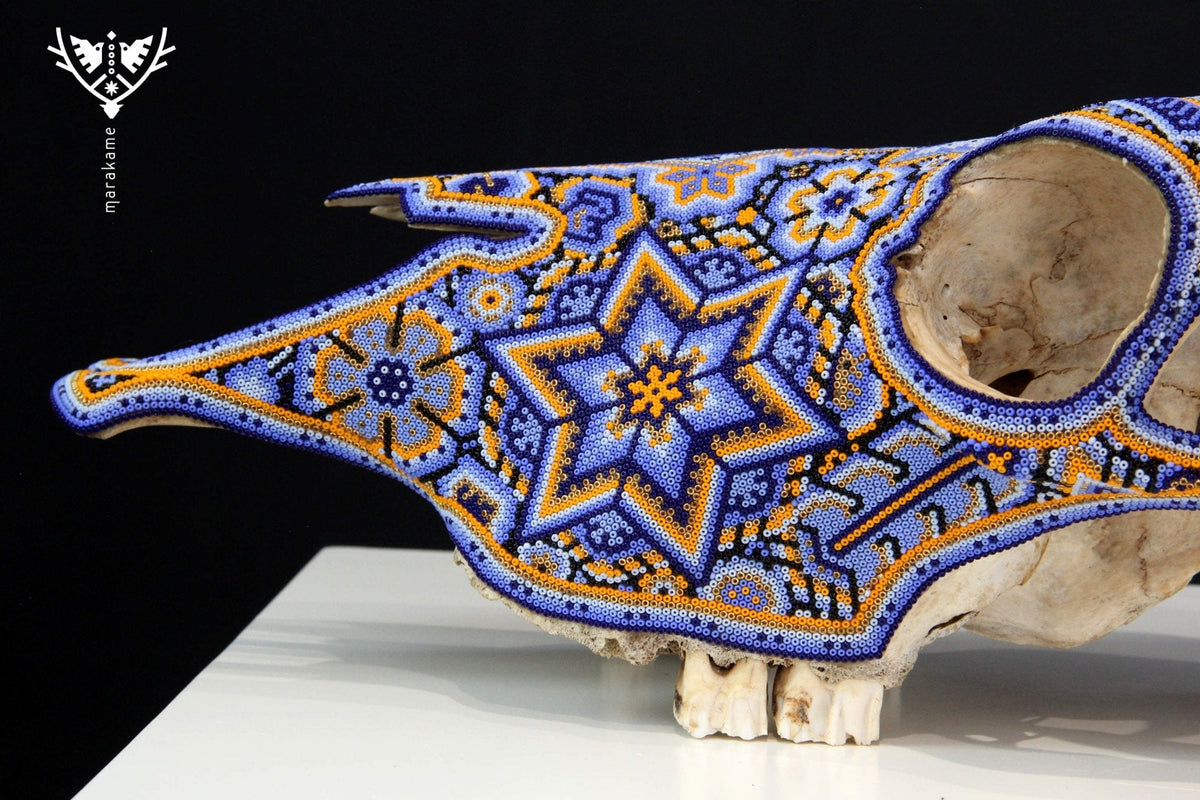 Craneo de vaca Arte Huichol - Kuruxikame - Arte Huichol - Marakame